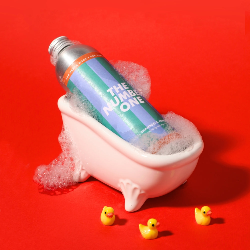 Shampoo lenitivo per cani con pelle sensibile o dermatite Jampy The Number One