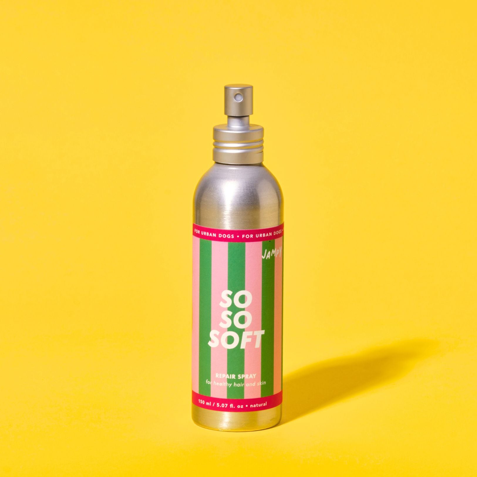 districante pelo cane barboncino pomerania pelo lungo jampy