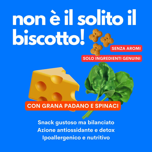 Pop A Biscuit Salato