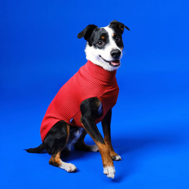 Red Wool Pullover