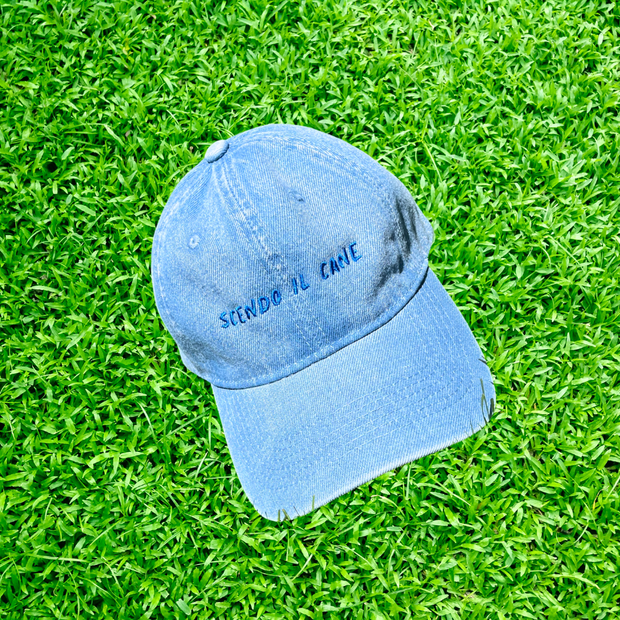 Scendo il Cane Cap 🧢