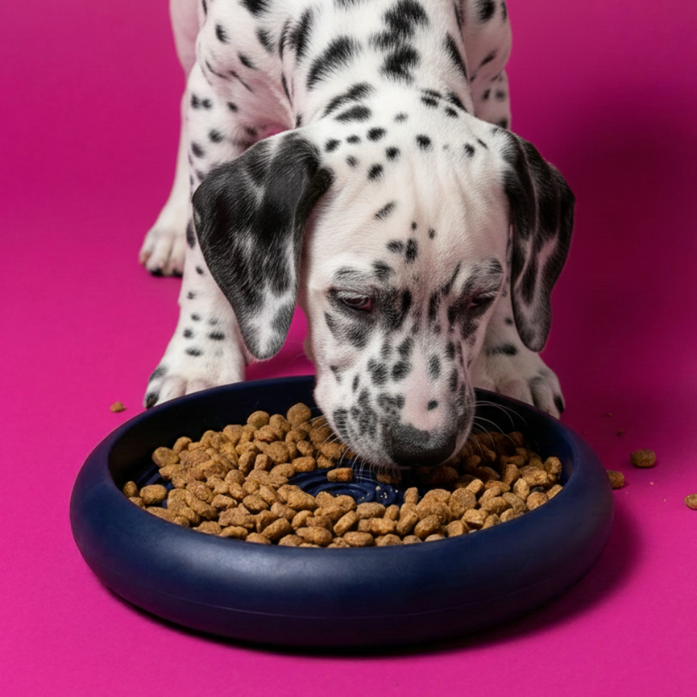 jampy ciotola slowfeed