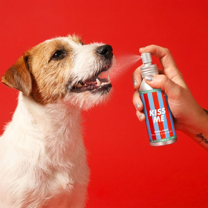 dentifricio per cani kiss me jampy
