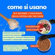 scopri la frutta che si aggiunge al cane jampy