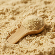 probiotici per cani jampy