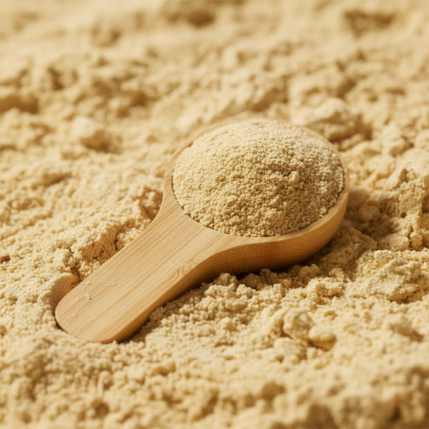 probiotici per cani jampy