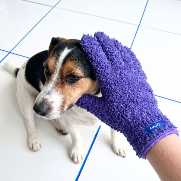 pet handschuh Mikrofaserhandschuh für Hunde – One Two Clean