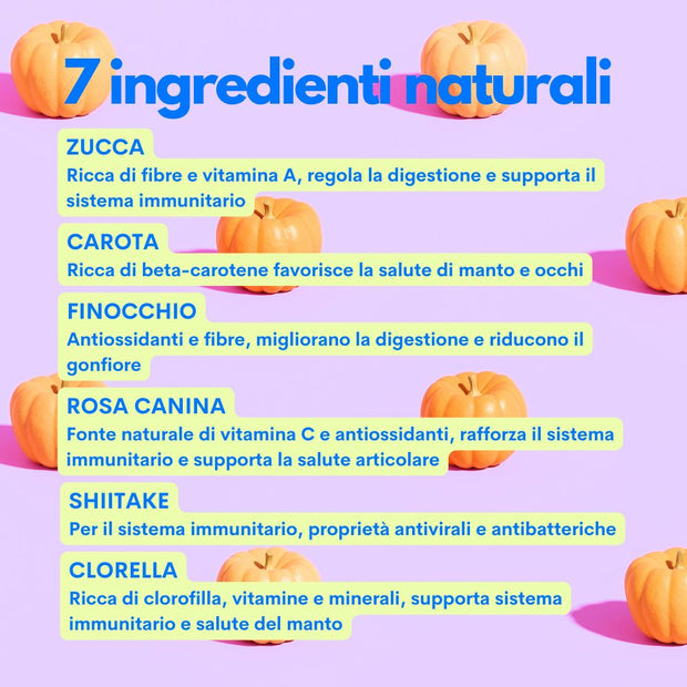 aggiungi la frutta alla dieta del tuo cane jampy