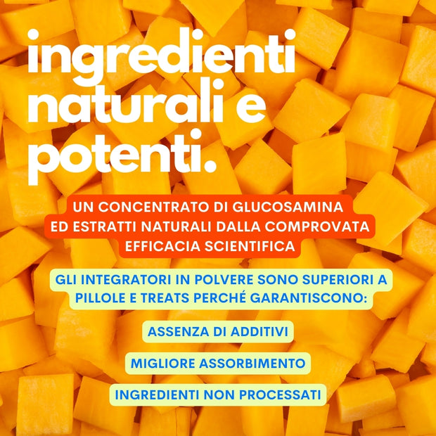 glucosamina vegetale naturale per cani jampy