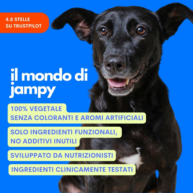 mobilità e invecchiamento nel cane supporto articolare jampy