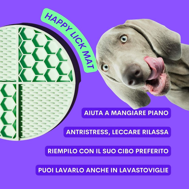 Happy Lick