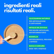 integratore ossa ipoallergenico artiglio del diavolo cane jampy