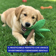Set Denti e Alitosi