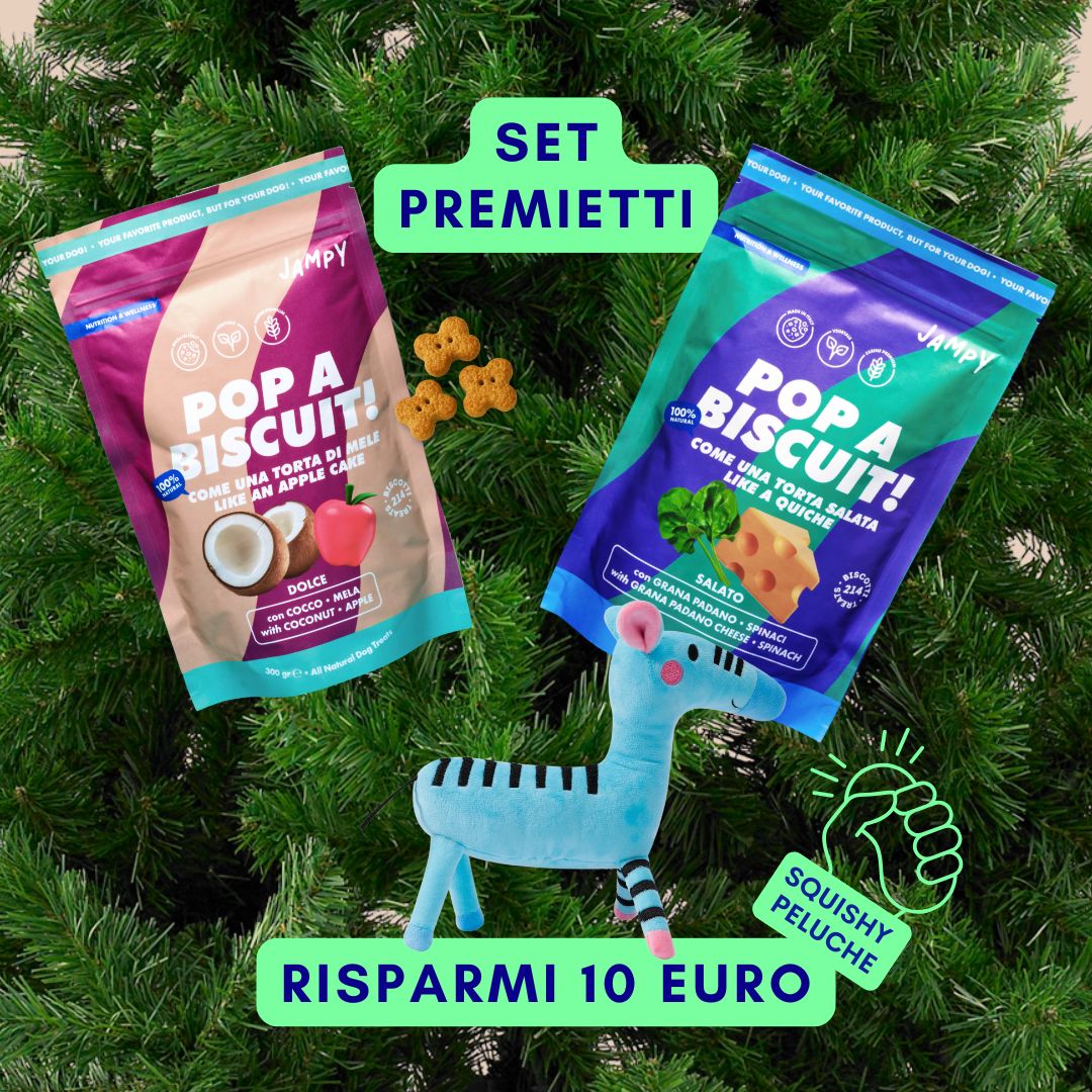 regalo di natale per cani