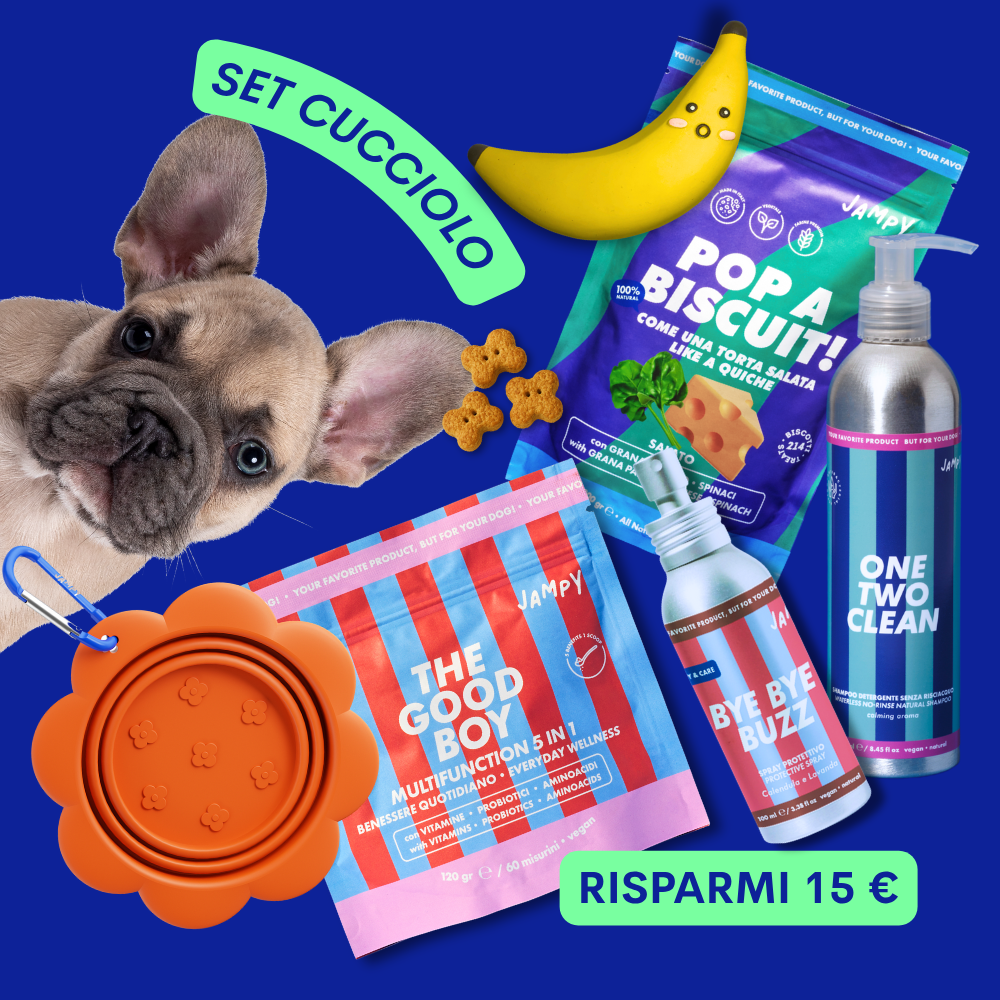 Set Cucciolo