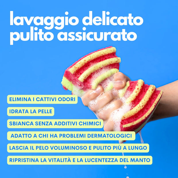 Shampoo per cani con prurito e pelle arrossata formula vegetale Jampy The Number One