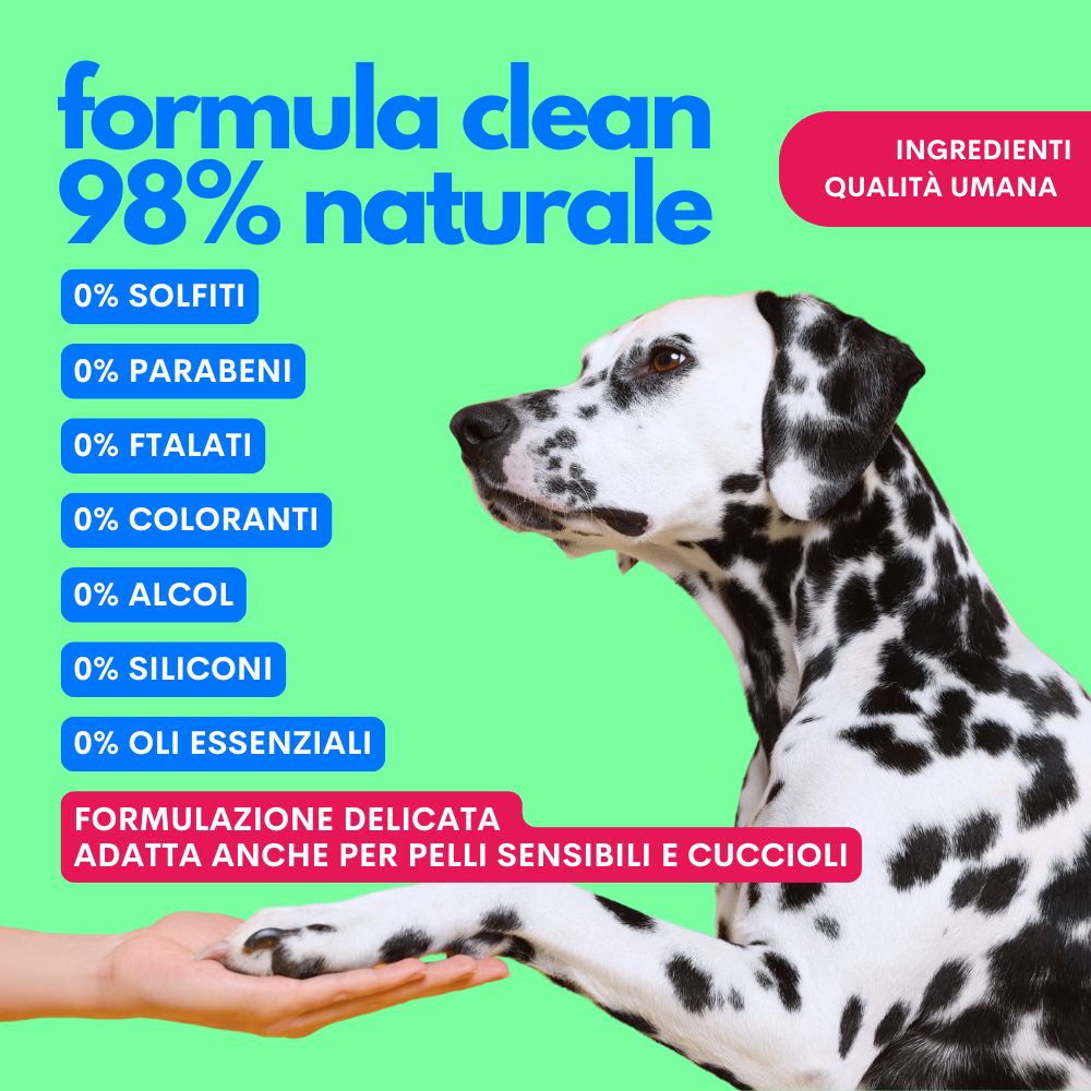 One Two Clean - Shampoo Secco Per Cani Jampy – JAMPY