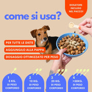 Come usare l’integratore probiotico per cani The Super Pro – Jampy
