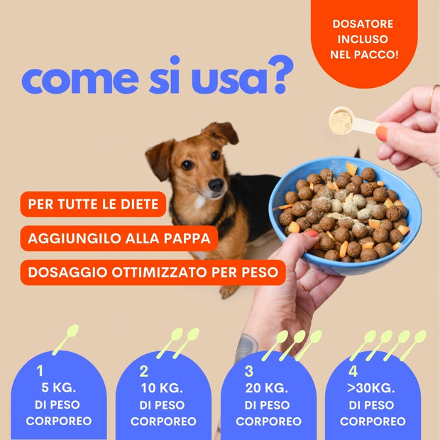 Come usare l’integratore probiotico per cani The Super Pro – Jampy