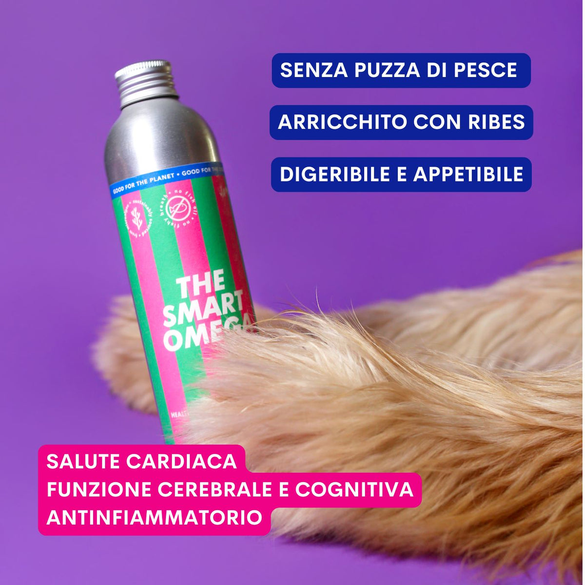 Smart Omega Rivayne The Smart Omega - Best Skin and Coat Healthcare Oil for Dogs – JAMPY