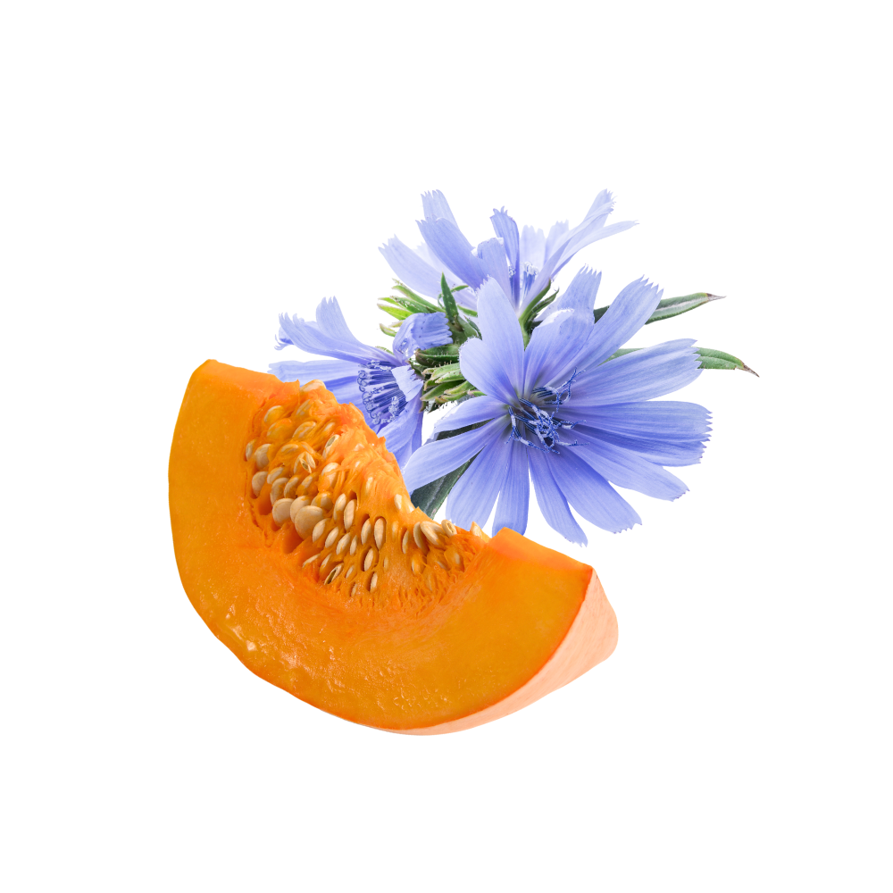 integratore multivitaminico jampy vegetale